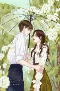 Chồng Cũ Của Tôi Mất Trí Nhớ Rồi