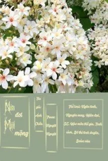 Nửa Đời Một Mộng