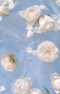 Tổng Hợp Đồng Nhân Lưu Ly