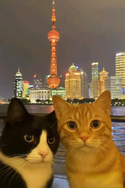 Xuyên Sách: Đại Lão Phản Diện Khen Ta Là Diễn Tinh