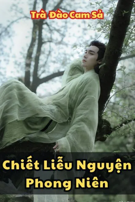 Chiết Liễu Nguyện Phong Niên