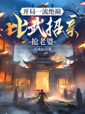 Huyền Huyễn: Đỉnh Phong Võ Học, Luận Võ Chiêu Phu