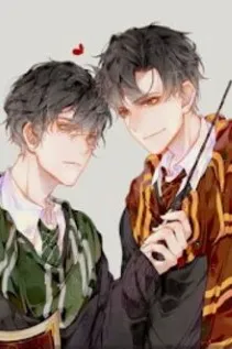 Harry Potter: Kim Sắc Vinh Quang