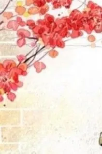 HP: Trở Về Ma Pháp Giới