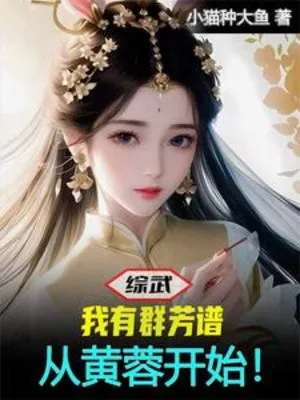 Tổng Võ: Sổ Tay Công Lược, Hoàng Dung Mở Màn