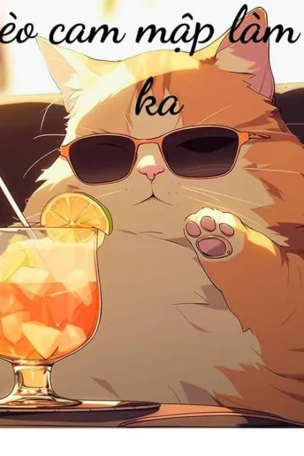Mèo Cam Mập Làm Đại Ca
