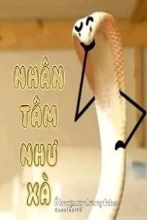 Lòng Người Độc Ác Như Rắn