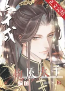 Xuyên Thành Thái Tử Pháo Hôi