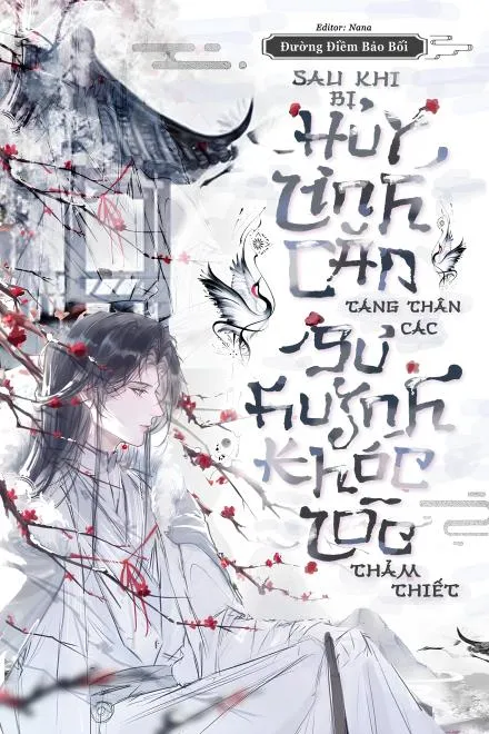 Hủy Linh Căn: Sư Huynh Than Khóc