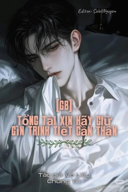 Tổng Tài, Xin Hãy Giữ Gìn Trinh Tiết!