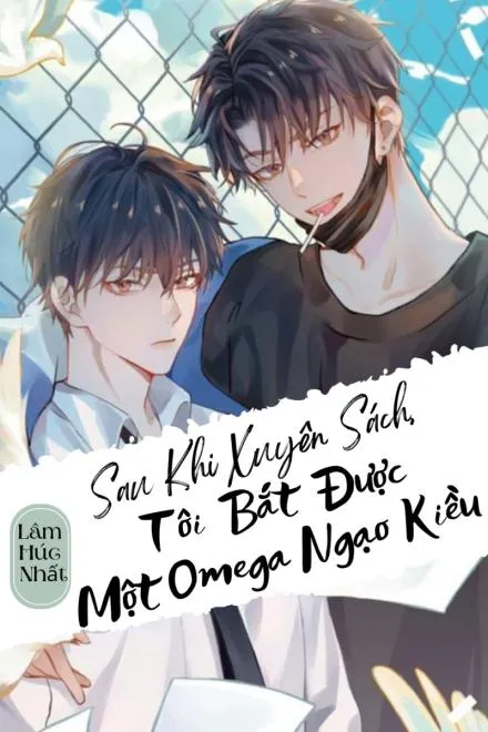 Xuyên Sách: Cảm Hóa Omega Ngạo Kiều