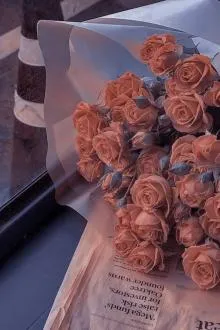 Xuyên Nhanh: Hoa Trong Gương, Trăng Dưới Nước