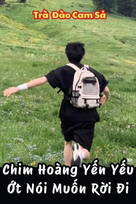 Chim Hoàng Yến Yếu Ớt Muốn Rời Đi