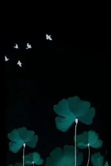 Tuyết Rơi Cùng Thời