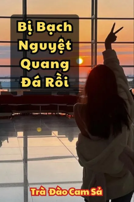 Sau Khi Bị Bạch Nguyệt Quang Từ Bỏ