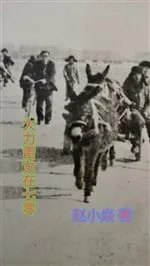 Nữ Cường Thời 70: Hệ Thống Thăng Cấp