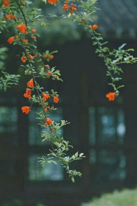 Đồng Nhân Văn: Xưng Bá Thế Giới