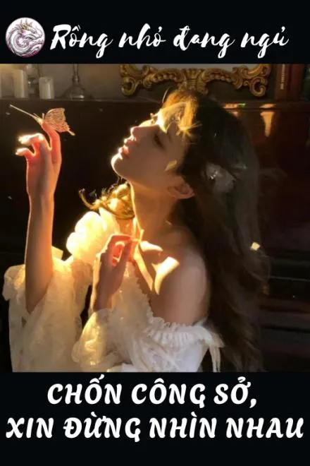 Chốn Công Sở: Duyên Tình Tình Cờ Gặp Gỡ