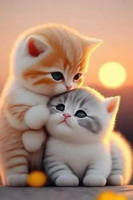 Vợ Sinh Con Xong Bỏ Trốn