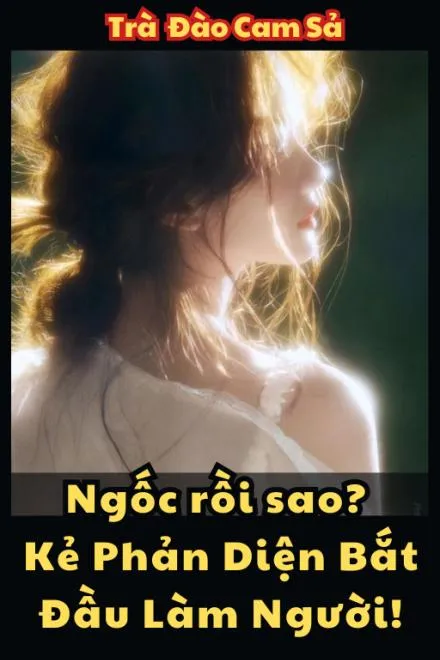 Phản Diện Bắt Đầu Làm Người