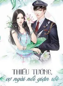 Thiếu Tướng, Vợ Ngài Nổi Giận Rồi