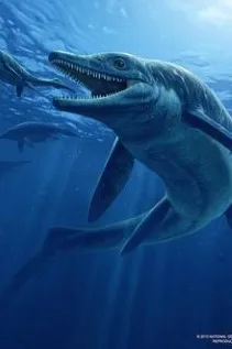 Liên Minh Hải Quái