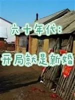 Thập Niên 60: Khai Cục Tân Hôn