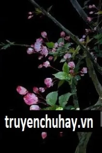 Không Sao, Anh Nuôi Em