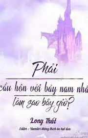 Làm Sao Cầu Hôn Bảy Nam Nhân Đây!