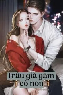 Trâu Già Thích Gặm Cỏ Non
