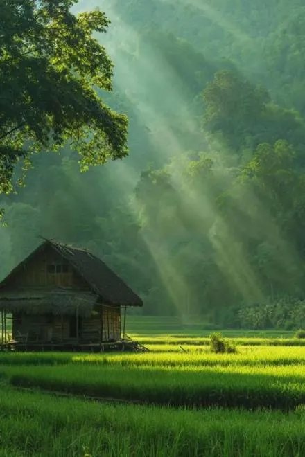 Cày Xới Thời Không: Làm Giàu Từ Mảnh Ruộng